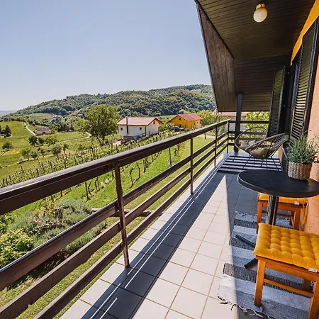 Holiday home Vinea View - 4 Thermal Spas Nearby Bizeljsko