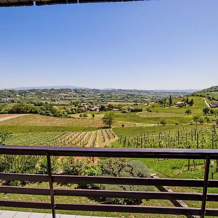 Vinea View - 4 Thermal Spas Nearby Holiday home *